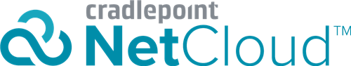 1-yr NetCloud Manager PRIME, SaaS License